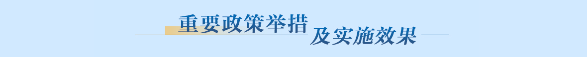 重要政策舉措及實施效果